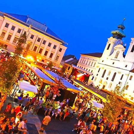 Semesterbostad Aurora Premium *